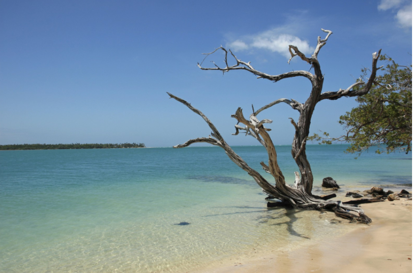 Screen Shot 2017-09-24 at 19.30.14