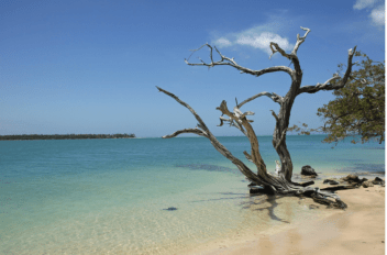 Screen Shot 2017-09-24 at 19.30.14